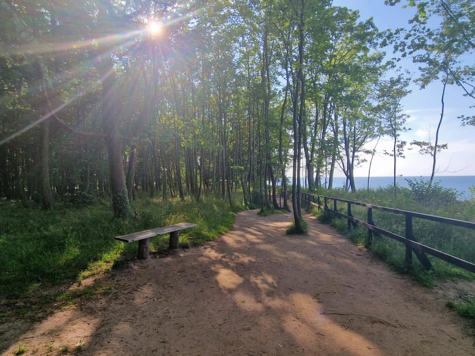 Osrodek Promenada- Domki Jastrzębia Góra Dış mekan fotoğraf