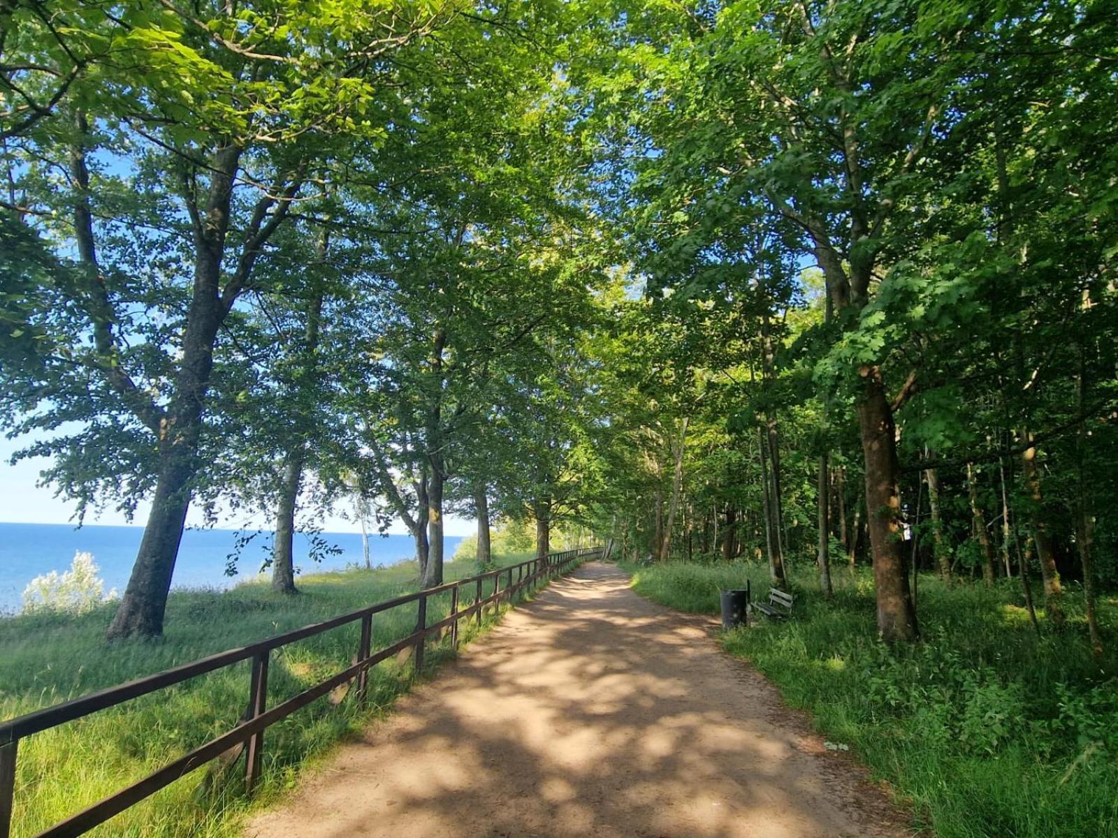 Osrodek Promenada- Domki Jastrzębia Góra Dış mekan fotoğraf